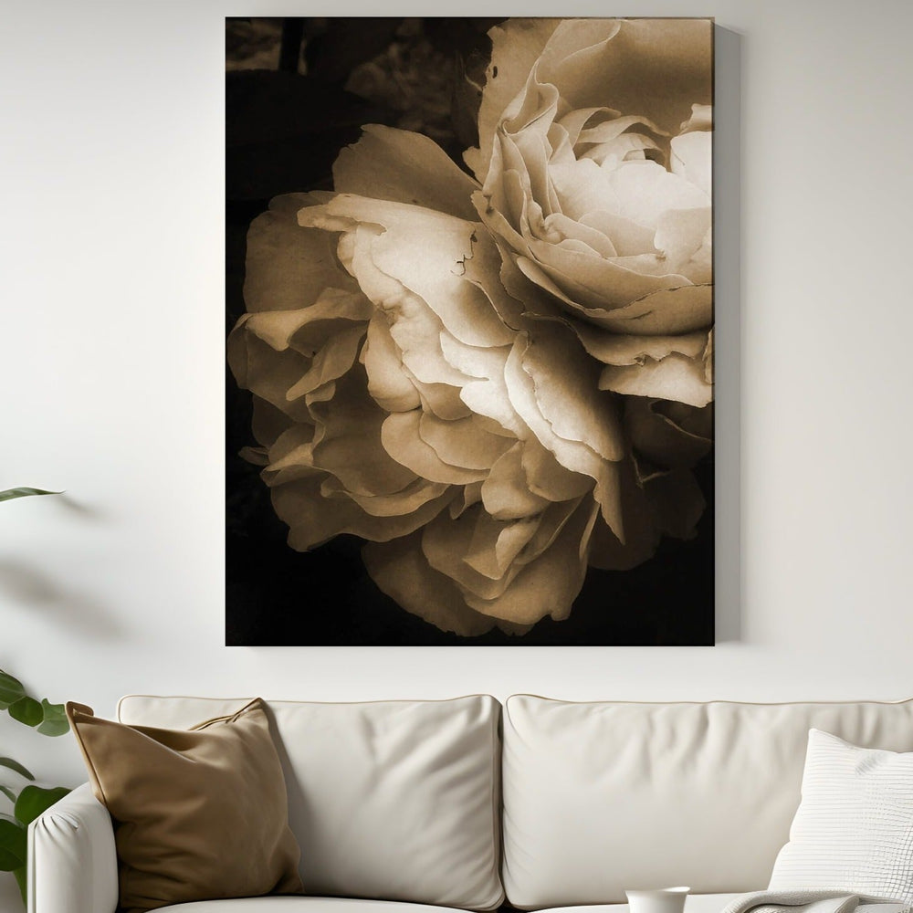 Weiße Rose - Leinwand/Acrylglas - Beautiful Wall