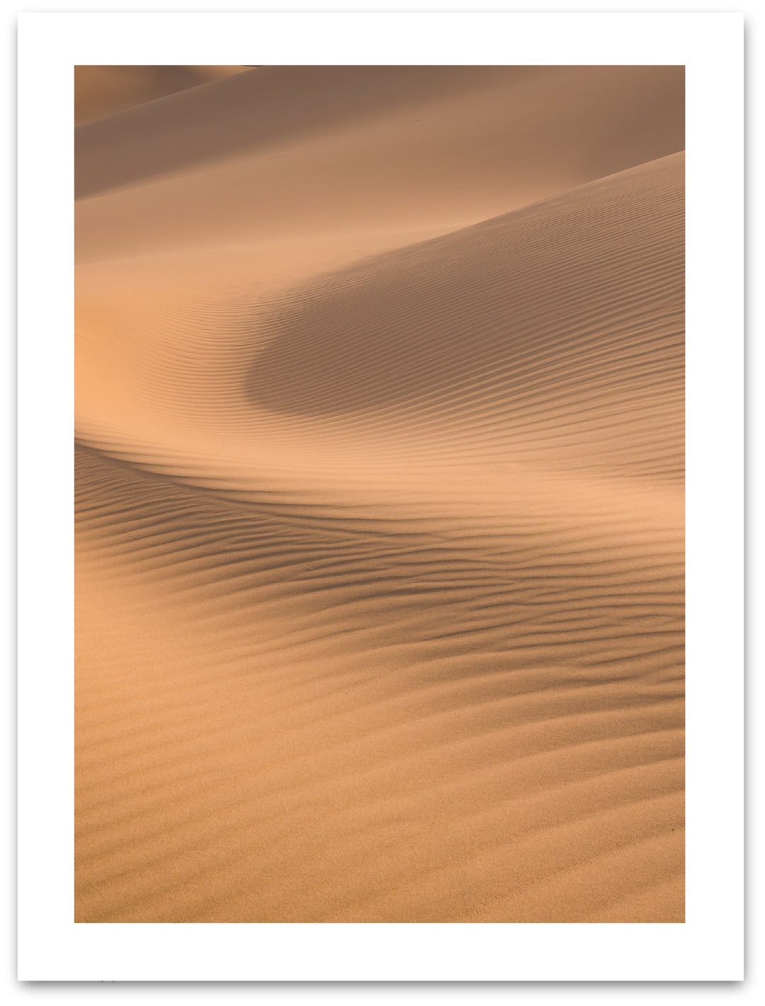 Dune de sable - Affiche