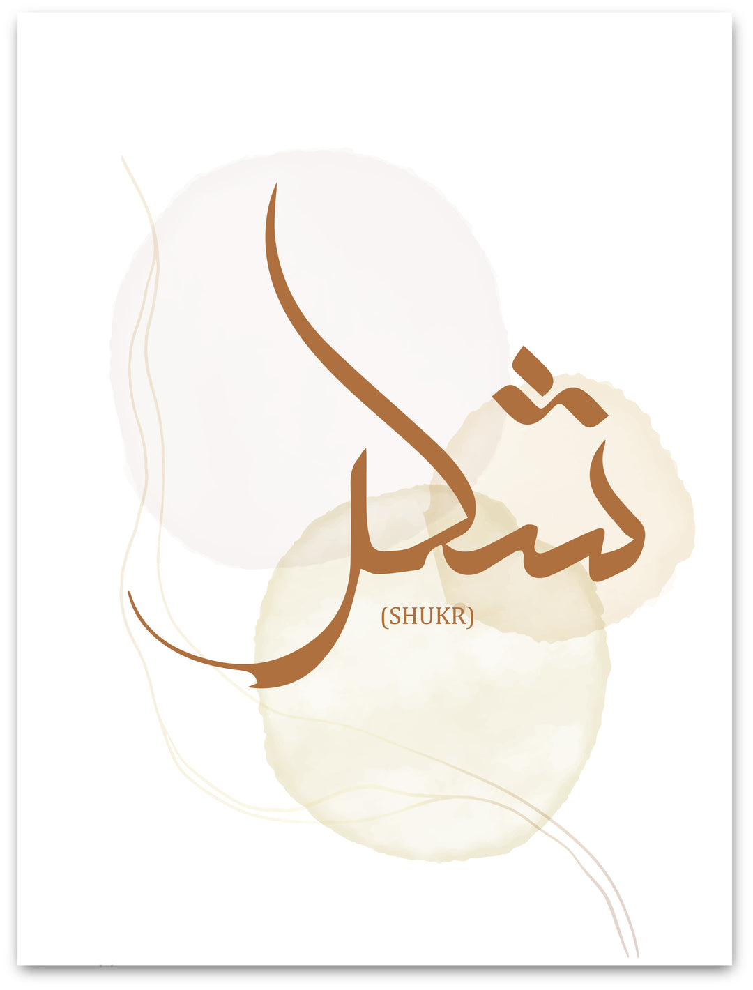 Shukr - Résumé - Affiche